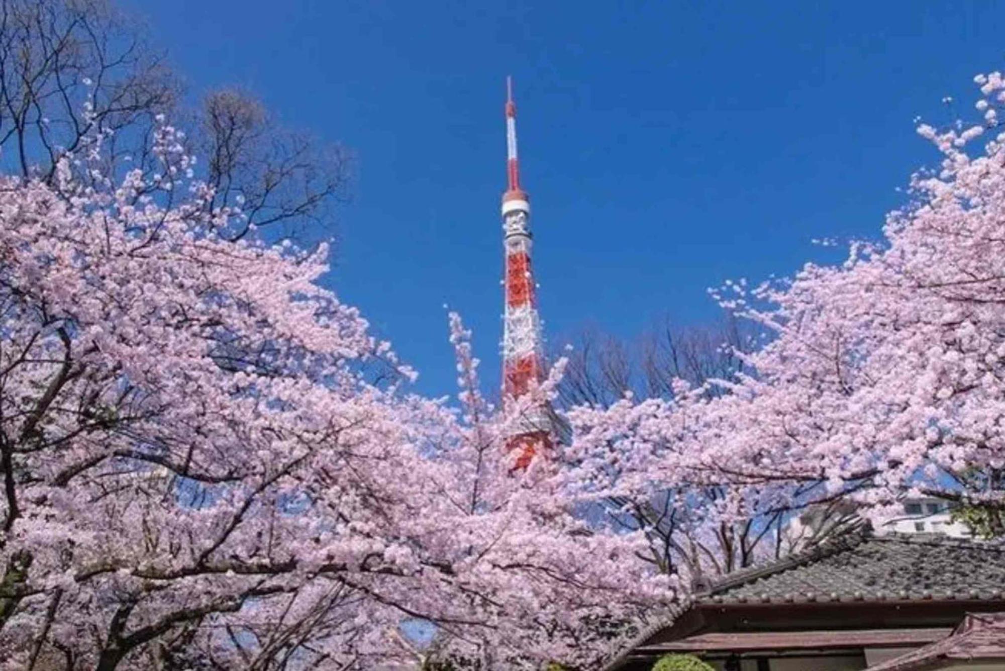 Five Room 120 Sky Tree Sensoji Freeparking 1292Sqft Tokyo Dış mekan fotoğraf